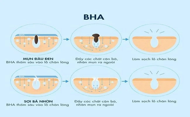 Cơ chế hoạt động của BHA trên da